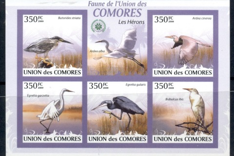 Comoro-Is-2009-Birds_58
