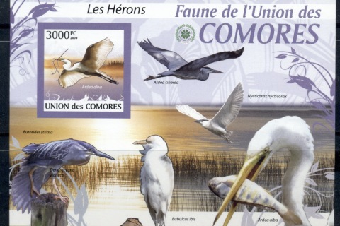 Comoro-Is-2009-Birds_59