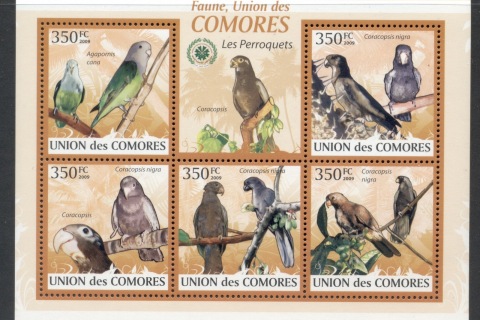Comoro-Is-2009-Birds_61