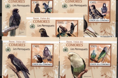 Comoro-Is-2009-Birds_63