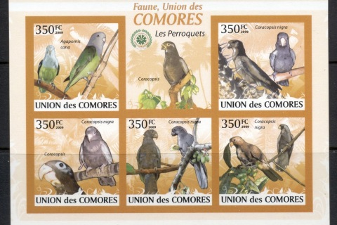 Comoro-Is-2009-Birds_64