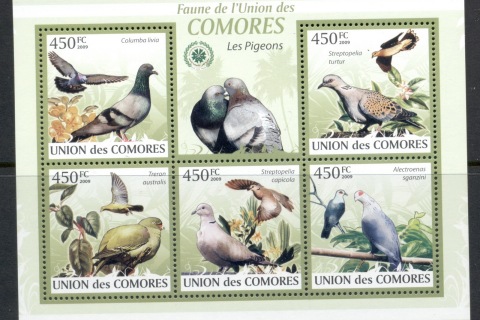 Comoro-Is-2009-Birds_67