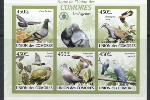 Comoro-Is-2009-Birds_70
