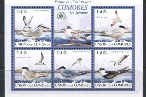 Comoro-Is-2009-Birds_73