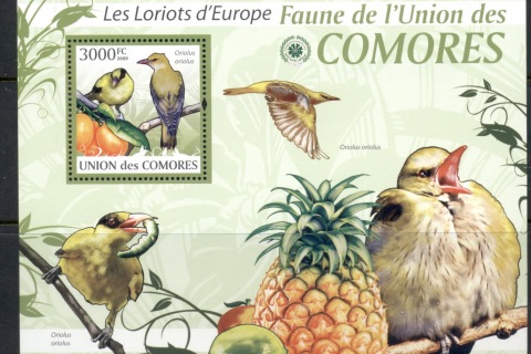 Comoro-Is-2009-Birds_8
