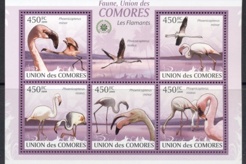 Comoro-Is-2009-Birds_82