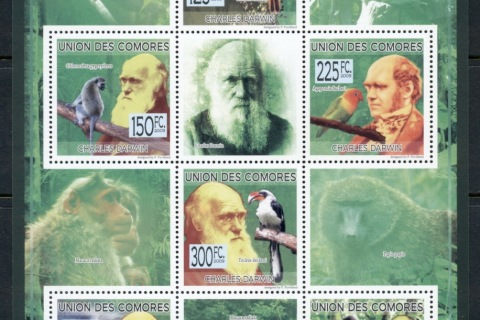 Comoro-Is-2009-Charles-Darwin