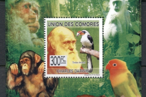 Comoro-Is-2009-Charles-Darwin_4