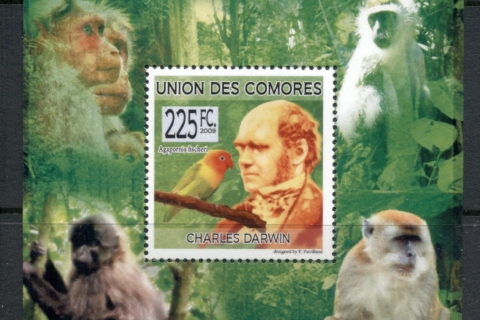 Comoro-Is-2009-Charles-Darwin_5