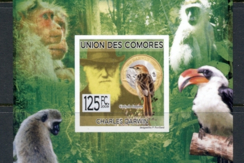 Comoro-Is-2009-Charles-Darwin_6