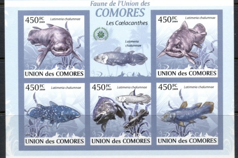Comoro-Is-2009-Fauna-of-the-Comoro-Is_11