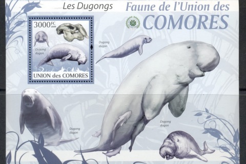 Comoro-Is-2009-Fauna-of-the-Comoros