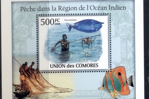 Comoro-Is-2009-Fish-Fishing-in-the-Indian-Ocean-Region-Deluxe-MS-MUH