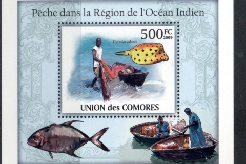 Comoro-Is-2009-Fish-Fishing-in-the-Indian-Ocean-Region-Deluxe-MS-MUH_2