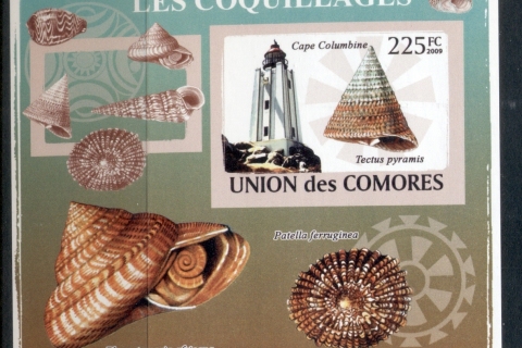 Comoro-Is-2009-Lighthouses-Sea-Shells-Deluxe-MS-IMPERF-MUH