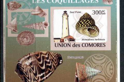 Comoro-Is-2009-Lighthouses-Sea-Shells-Deluxe-MS-IMPERF-MUH_1