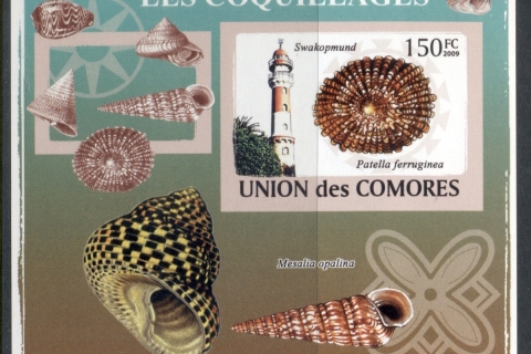 Comoro-Is-2009-Lighthouses-Sea-Shells-Deluxe-MS-IMPERF-MUH_2
