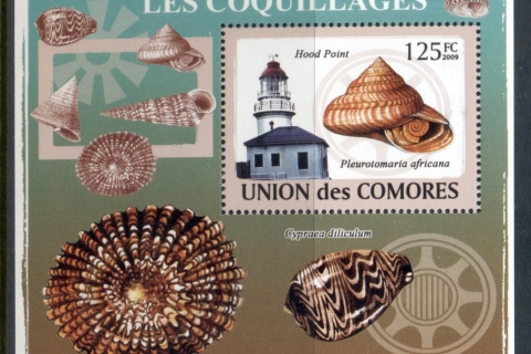 Comoro-Is-2009-Lighthouses-Sea-Shells-Deluxe-MS-MUH