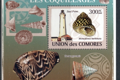 Comoro-Is-2009-Lighthouses-Sea-Shells-Deluxe-MS-MUH_1