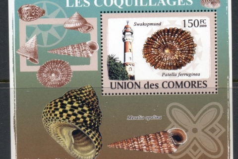 Comoro-Is-2009-Lighthouses-Sea-Shells-Deluxe-MS-MUH_2