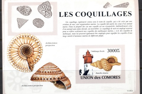 Comoro-Is-2009-Lighthouses-Sea-Shells-MS-IMPERF-MUH_2