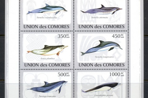 Comoro-Is-2009-Marine-Life_11