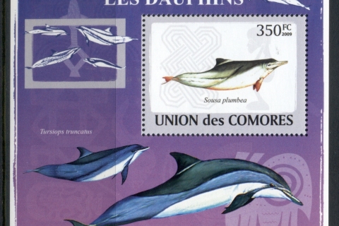 Comoro-Is-2009-Marine-Life_15