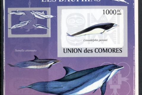 Comoro-Is-2009-Marine-Life_17