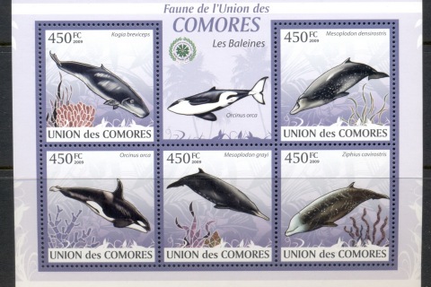 Comoro-Is-2009-Marine-Life_23