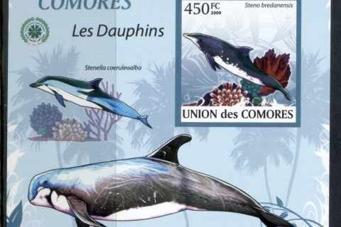 Comoro-Is-2009-Marine-Life_5