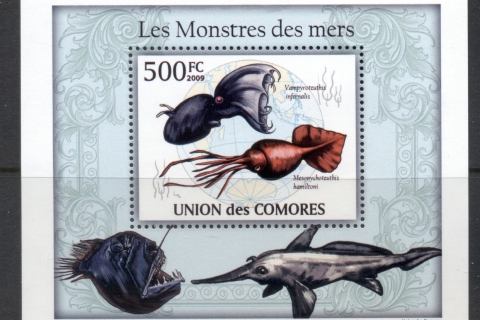 Comoro-Is-2009-Marine-Life_57