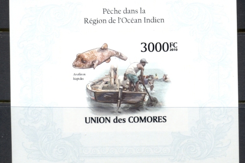 Comoro-Is-2010-Fish-Fishing-in-the-Indian-Ocean-Region-MS-IMPERF-MUH_1