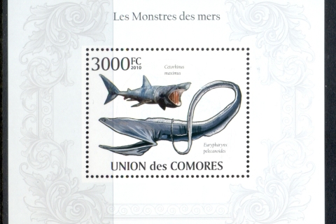 Comoro-Is-2010-Marine-Life_1