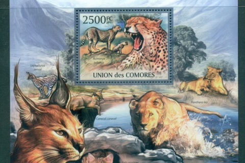 Comoro-Is-2011-African-Wildlife