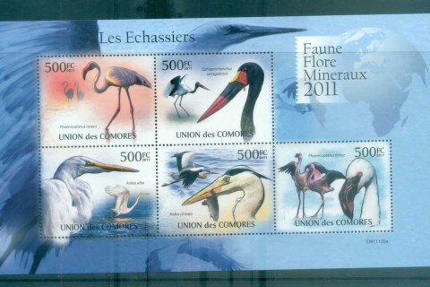 Comoro-Is-2011-Bird