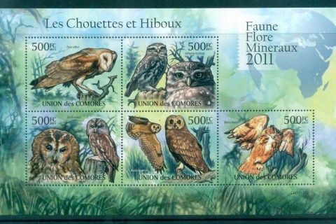 Comoro-Is-2011-Birds-of-Prey_2