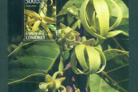 Comoro-Is-2011-Flora