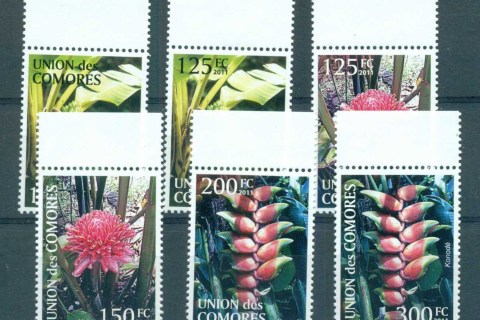 Comoro-Is-2011-Flora_1