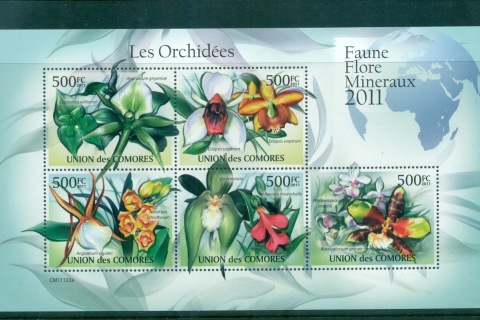 Comoro-Is-2011-Flora_2