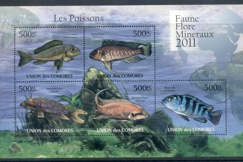 Comoro-Is-2011-Freshwater-Fish