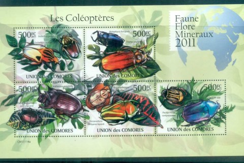 Comoro-Is-2011-Insects_10