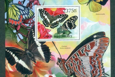 Comoro-Is-2011-Insects_3