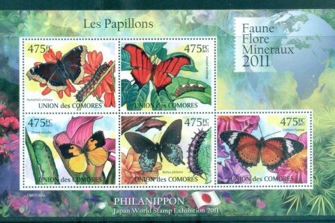 Comoro-Is-2011-Insects_6