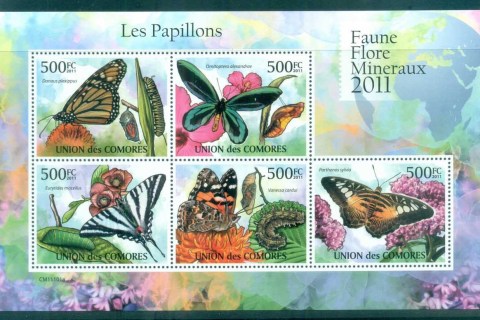 Comoro-Is-2011-Insects_7