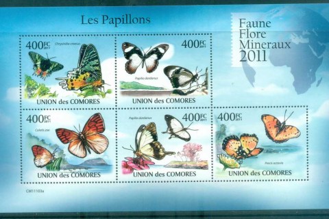 Comoro-Is-2011-Insects_8