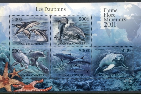 Comoro-Is-2011-Marine-Life