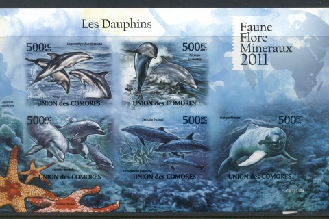 Comoro-Is-2011-Marine-Life_1