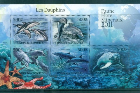 Comoro-Is-2011-Marine-Life_2-2