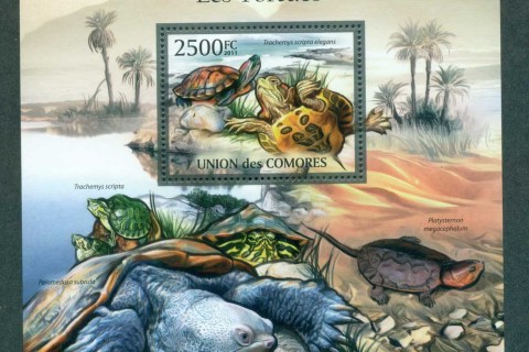 Comoro-Is-2011-Reptiles