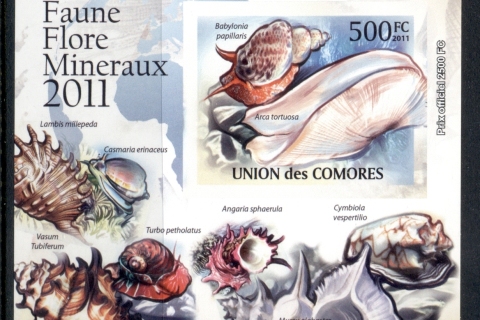 Comoro-Is-2011-Sea-Shells-Deluxe-MS-IMPERF-MUH_1